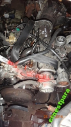 Фото двигателя Citroen ZX 1.9 D