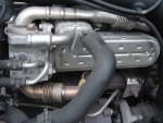 Фото двигателя Volkswagen Golf V 1.9 TDI 4motion