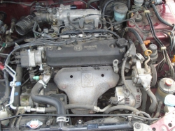 Фото двигателя Honda Accord купе III 2.0
