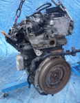 Фото двигателя Skoda Octavia универсал II 1.6 TDI 4WD