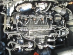 Фото двигателя Volkswagen Golf Variant VI 1.6 TDI 4motion