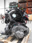 Фото двигателя Nissan Qashqai 1.6 dCi