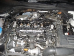 Фото двигателя Seat Leon II 1.6 TDI