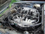 Фото двигателя Jaguar XJ 12 H.E.