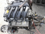 Фото двигателя Renault Laguna хэтчбек II 2.0 16V