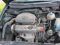 Фото двигателя Seat Ibiza III 1.6