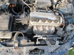 Фото двигателя Honda Civic хэтчбек VI 1.4 i