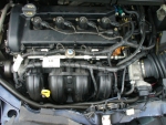 Фото двигателя Ford Focus универсал II 1.8