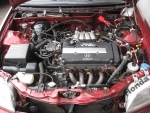 Фото двигателя Honda Civic Fastback 1.8 Vti