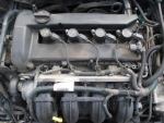 Фото двигателя Ford Focus C-Max 2.0