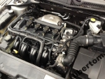 Фото двигателя Ford Mondeo седан III 1.8 SCi